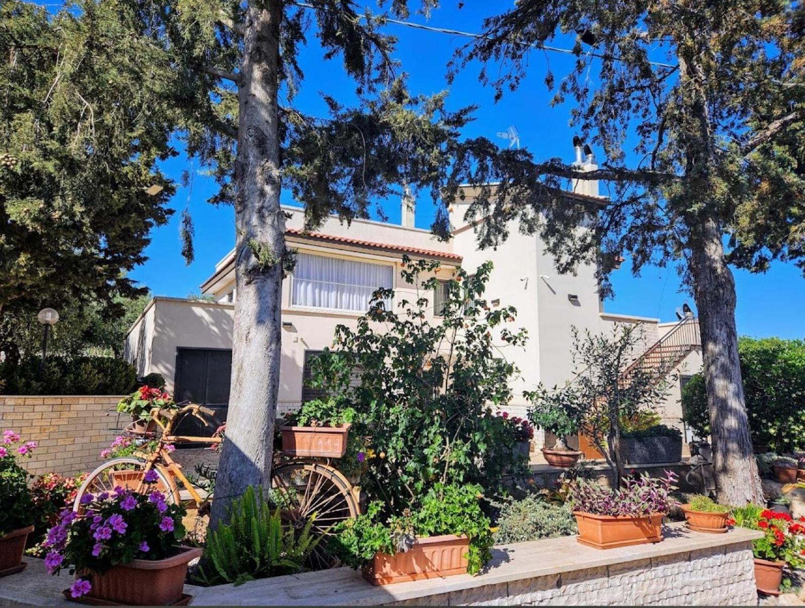 Casa Belcolle Daire Putignano Dış mekan fotoğraf
